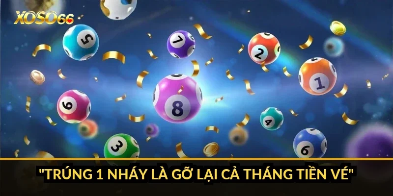 Bao lô 3 số: vì sao miền Bắc chỉ còn 23 lô, miền Nam 17 lô? 5 "Trúng 1 nháy là gỡ lại cả tháng tiền vé"